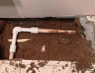 省直辖县级测漏水哪家好