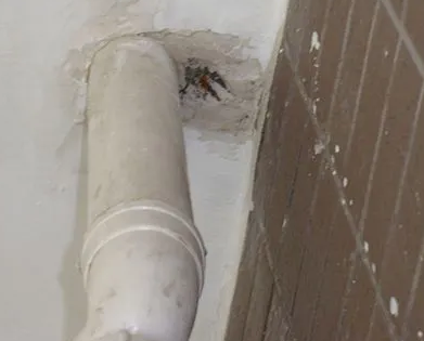 省直辖县级漏水检测哪家好